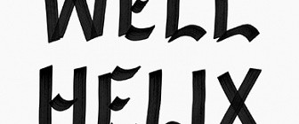 Raven Row | Pádraig Timoney. Fontwell Helix Feely | 27 April to 23 June 2013