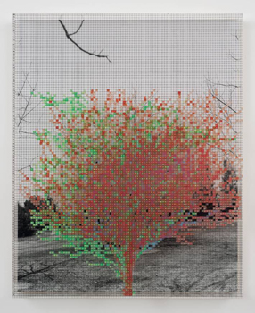 Charles Gaines, "Numbers & Trees VI, Landscape, #4," 1989.
