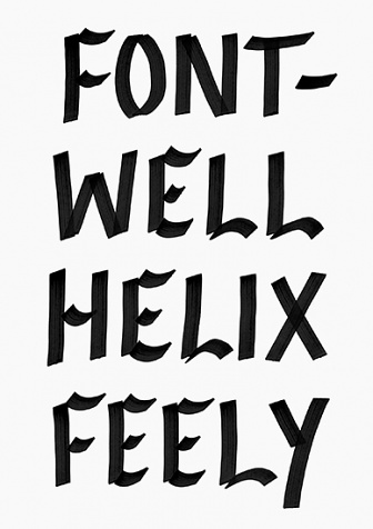 Pádraig Timoney. Fontwell Helix Feely